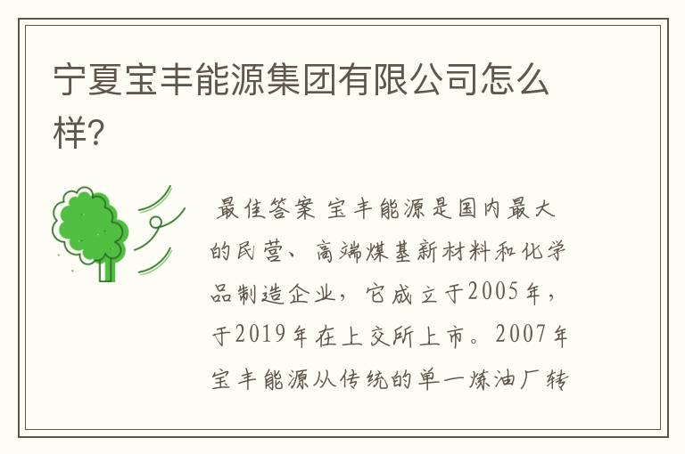宁夏宝丰能源集团有限公司怎么样?