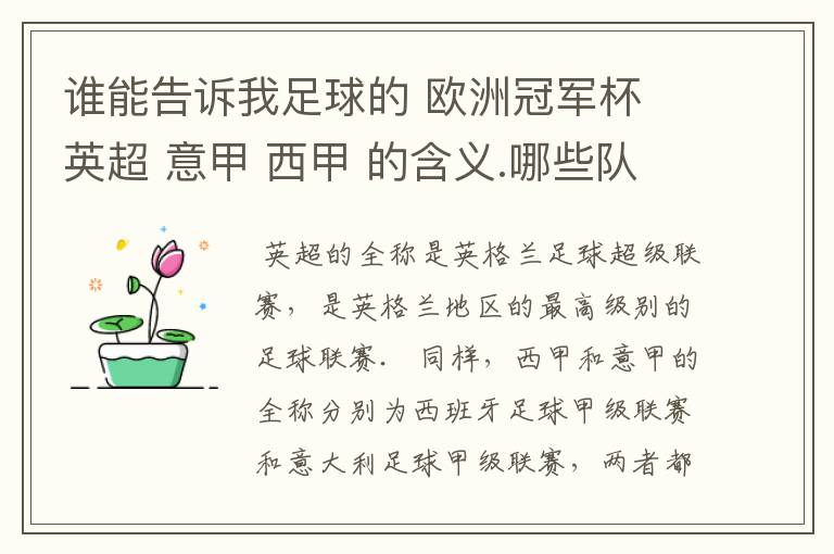 谁能告诉我足球的 欧洲冠军杯 英超 意甲 西甲 的含义.哪些队 怎么进行比赛的.