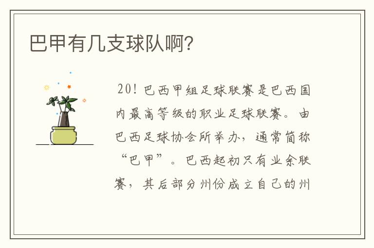 巴甲有几支球队啊?