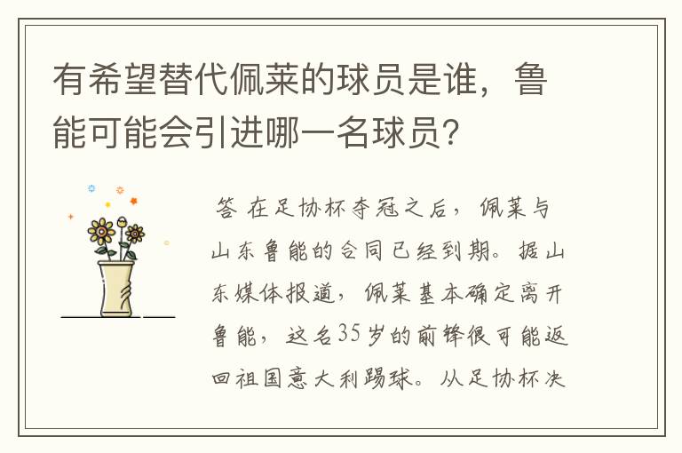 有希望替代佩莱的球员是谁,鲁能可能会引进哪一名球员?