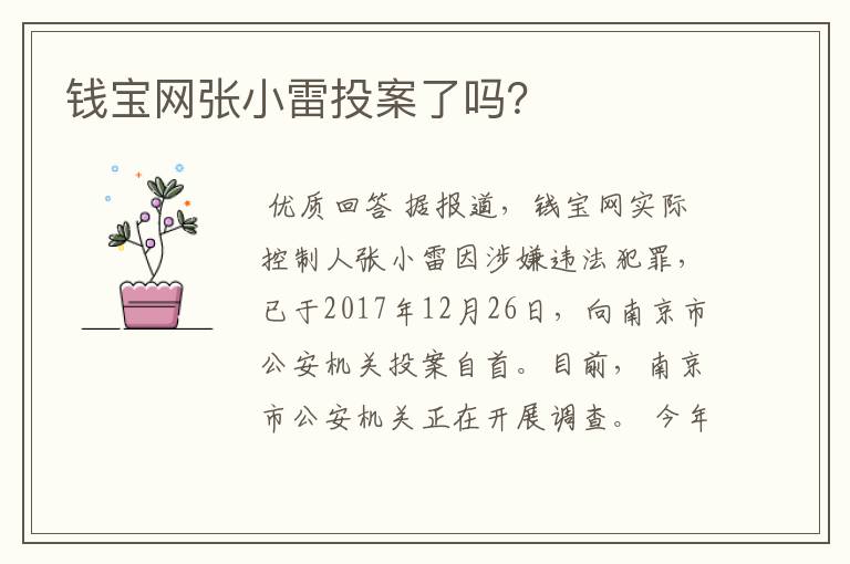 钱宝网张小雷投案了吗?