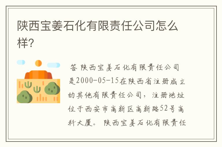 陕西宝姜石化有限责任公司怎么样?