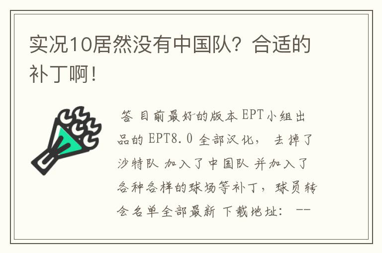 实况10居然没有中国队?合适的补丁啊!