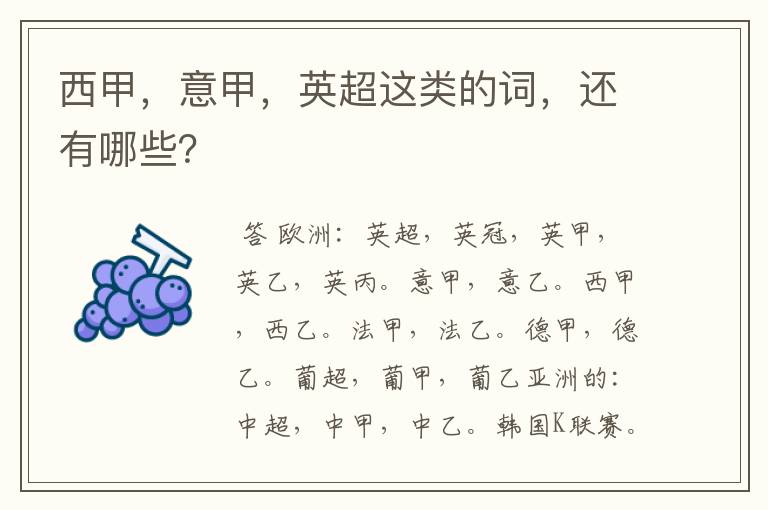 西甲,意甲,英超这类的词,还有哪些?