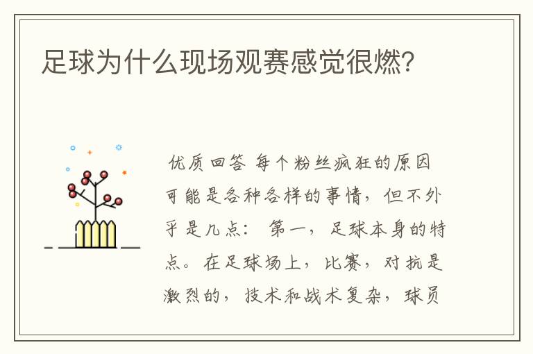 足球为什么现场观赛感觉很燃?
