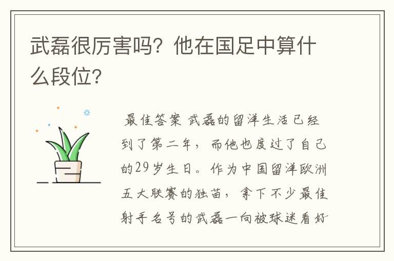 武磊很厉害吗?他在国足中算什么段位?