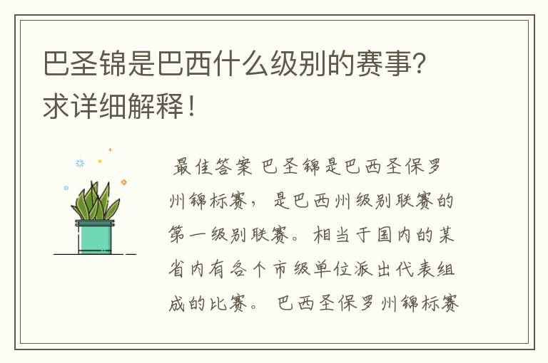 巴圣锦是巴西什么级别的赛事?求详细解释!