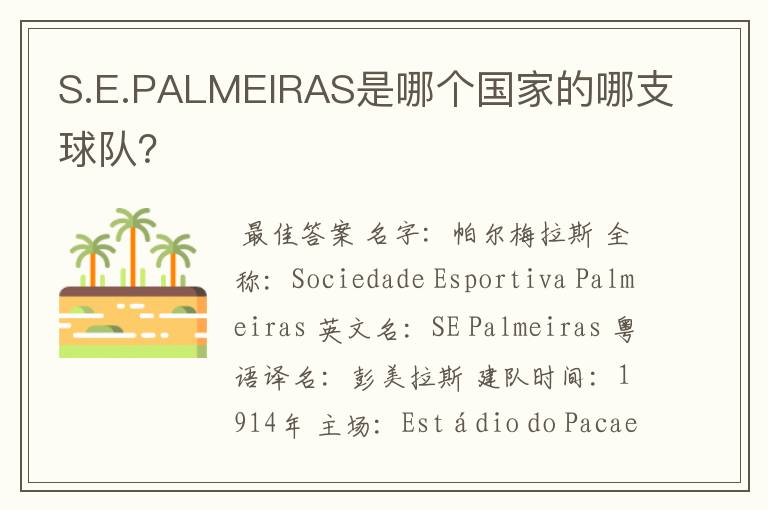 S.E.PALMEIRAS是哪个国家的哪支球队?
