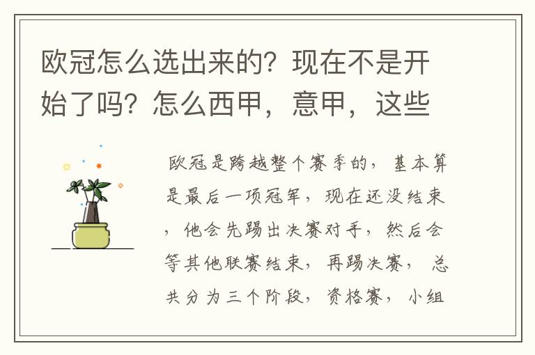 欧冠怎么选出来的?现在不是开始了吗?怎么西甲,意甲,这些还在T?