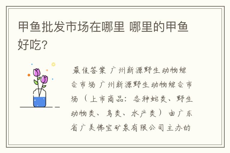 甲鱼批发市场在哪里 哪里的甲鱼好吃?