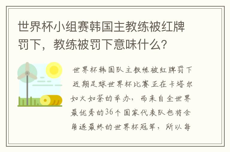 世界杯小组赛韩国主教练被红牌罚下,教练被罚下意味什么?