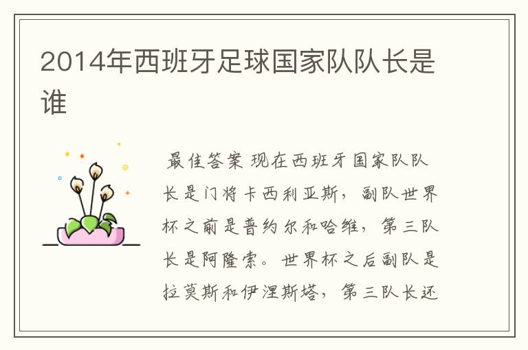 2014年西班牙足球国家队队长是谁
