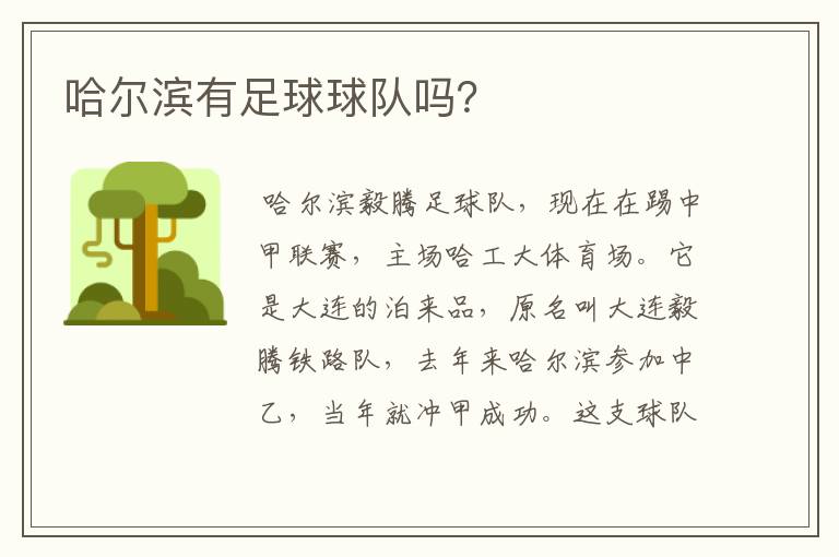 哈尔滨有足球球队吗?