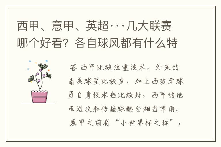 西甲、意甲、英超···几大联赛哪个好看?各自球风都有什么特征?
