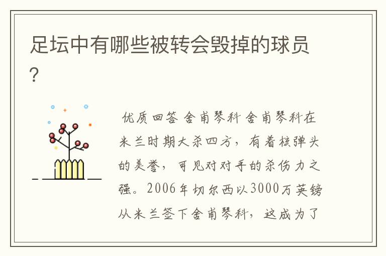 足坛中有哪些被转会毁掉的球员?