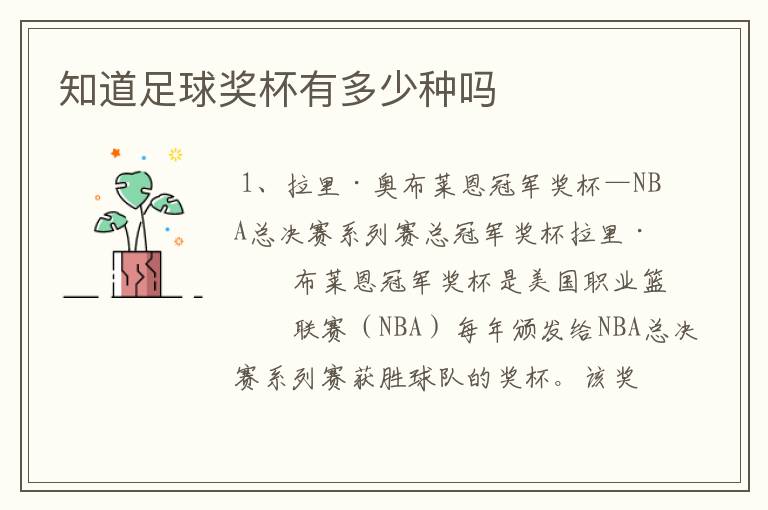 知道足球奖杯有多少种吗