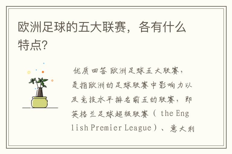 欧洲足球的五大联赛,各有什么特点?