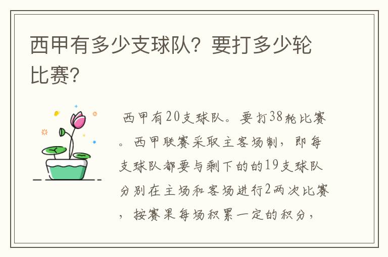 西甲有多少支球队?要打多少轮比赛?