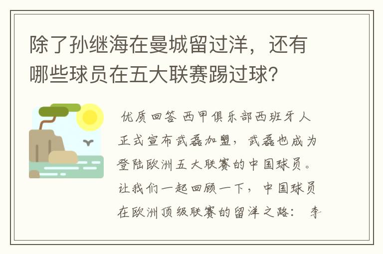 除了孙继海在曼城留过洋,还有哪些球员在五大联赛踢过球?