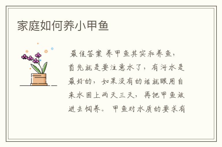 家庭如何养小甲鱼