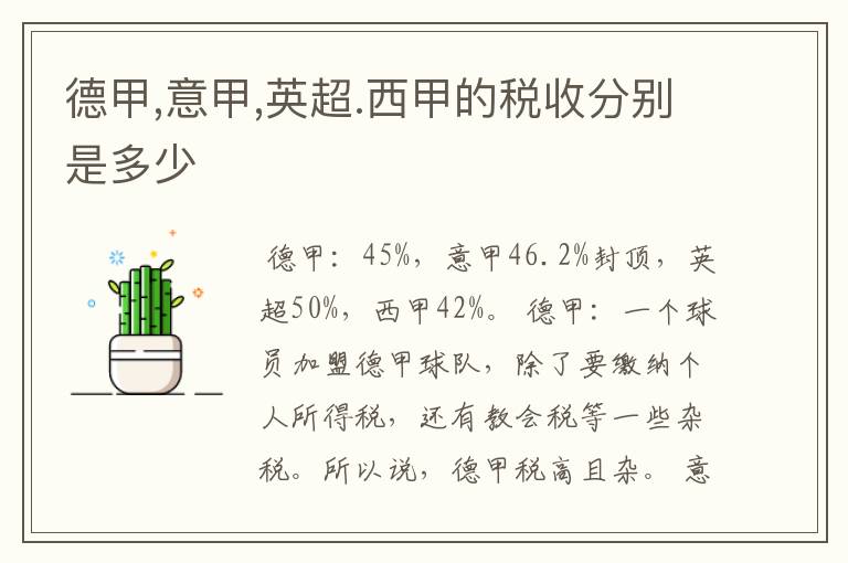 德甲,意甲,英超.西甲的税收分别是多少