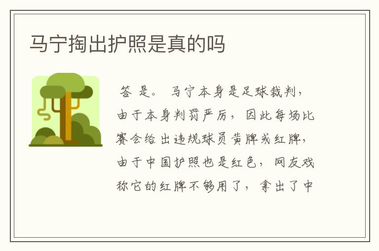 马宁掏出护照是真的吗