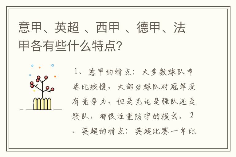 意甲、英超 、西甲 、德甲、法甲各有些什么特点?