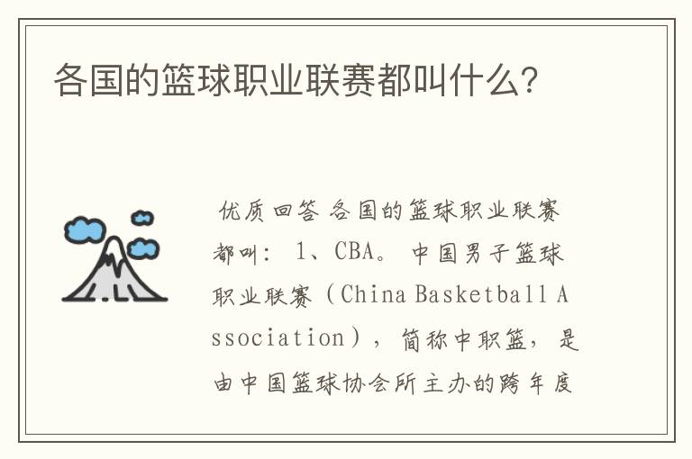 各国的篮球职业联赛都叫什么?