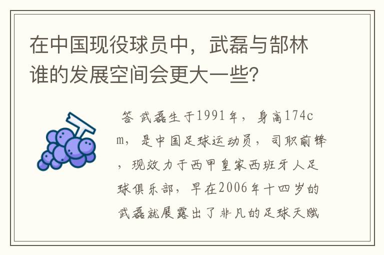 在中国现役球员中,武磊与郜林谁的发展空间会更大一些?