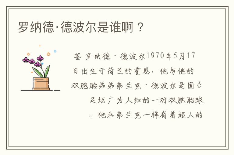 罗纳德·德波尔是谁啊 ?