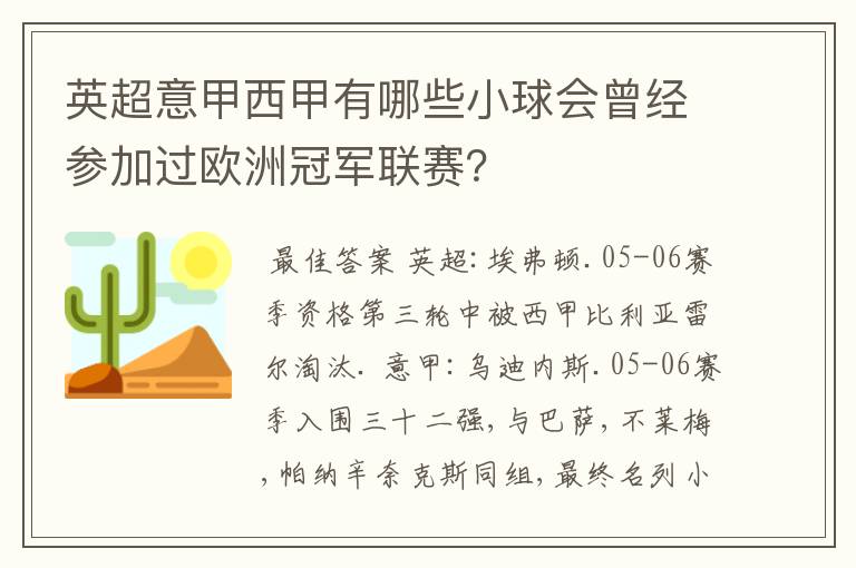 英超意甲西甲有哪些小球会曾经参加过欧洲冠军联赛?