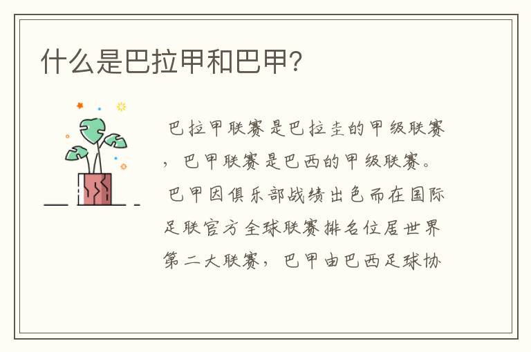 什么是巴拉甲和巴甲?
