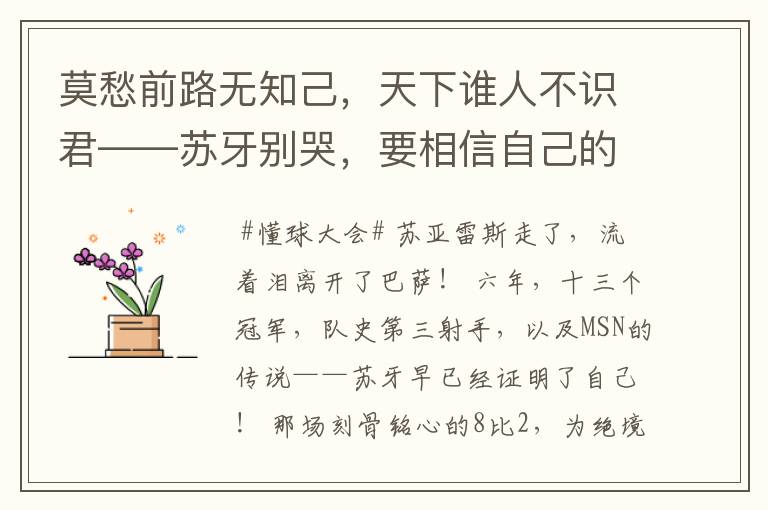 莫愁前路无知己,天下谁人不识君——苏牙别哭,要相信自己的路!