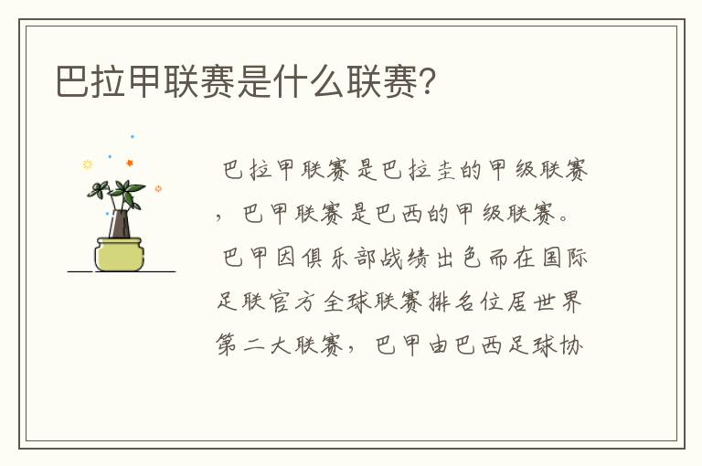 巴拉甲联赛是什么联赛?