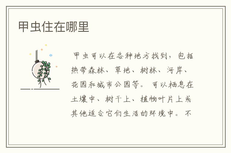 甲虫住在哪里