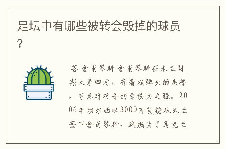 足坛中有哪些被转会毁掉的球员?