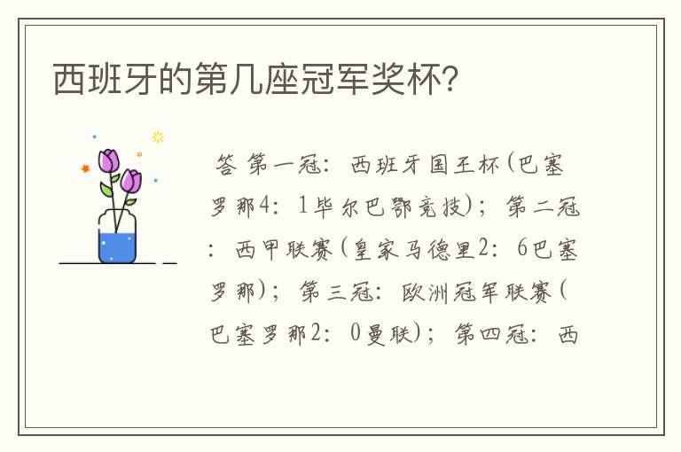西班牙的第几座冠军奖杯?