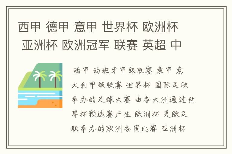 西甲 德甲 意甲 世界杯 欧洲杯 亚洲杯 欧洲冠军 联赛 英超 中超 分别是什么意思啊?