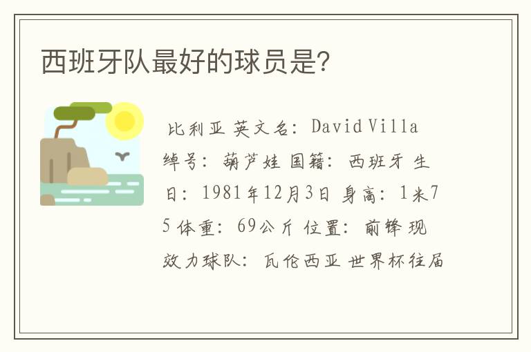 西班牙队最好的球员是?