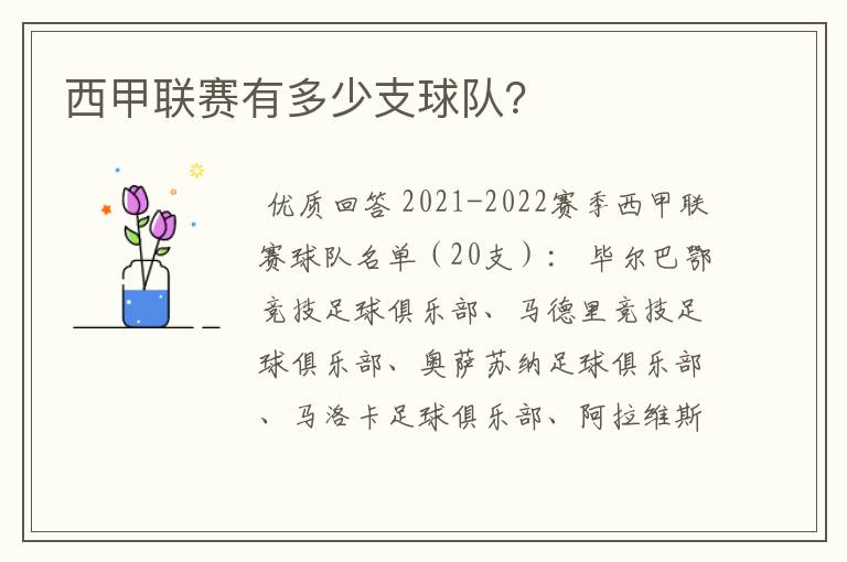 西甲联赛有多少支球队?