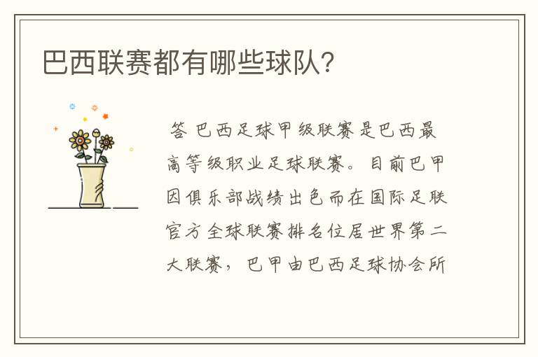 巴西联赛都有哪些球队?