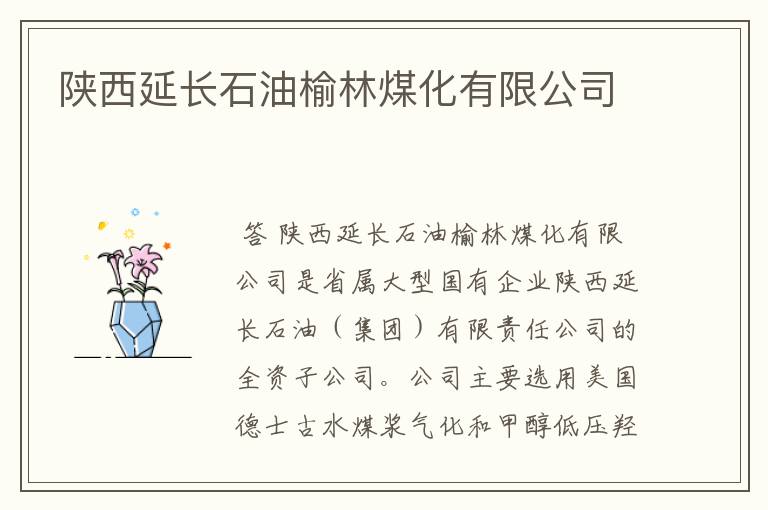 陕西延长石油榆林煤化有限公司