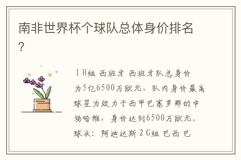 南非世界杯个球队总体身价排名?