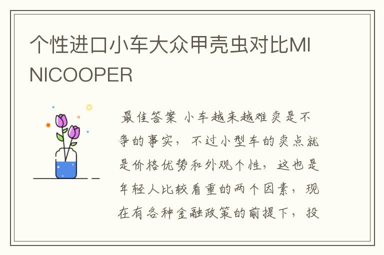 个性进口小车大众甲壳虫对比MINICOOPER