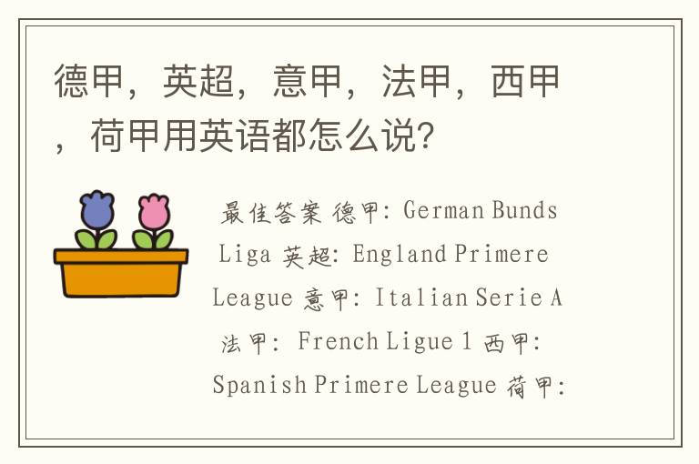 德甲，英超，意甲，法甲，西甲，荷甲用英语都怎么说？