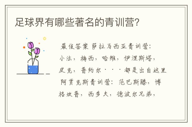 足球界有哪些著名的青训营?