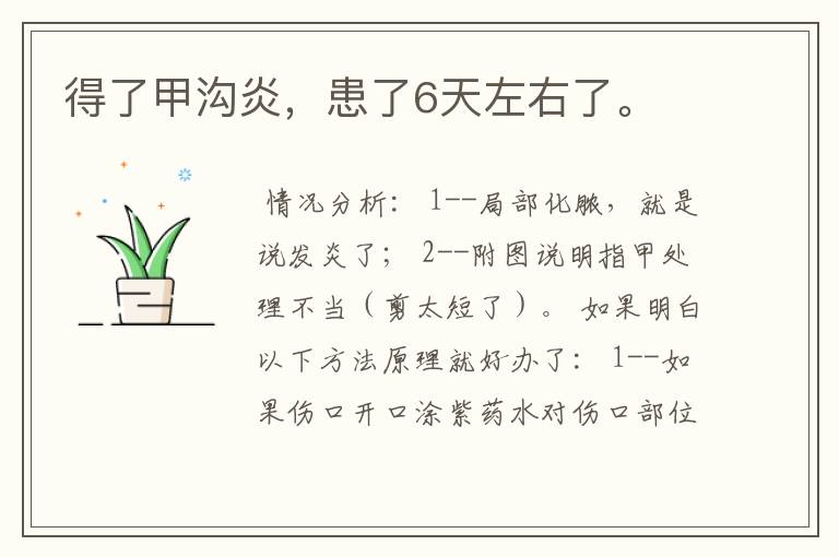 得了甲沟炎,患了6天左右了。