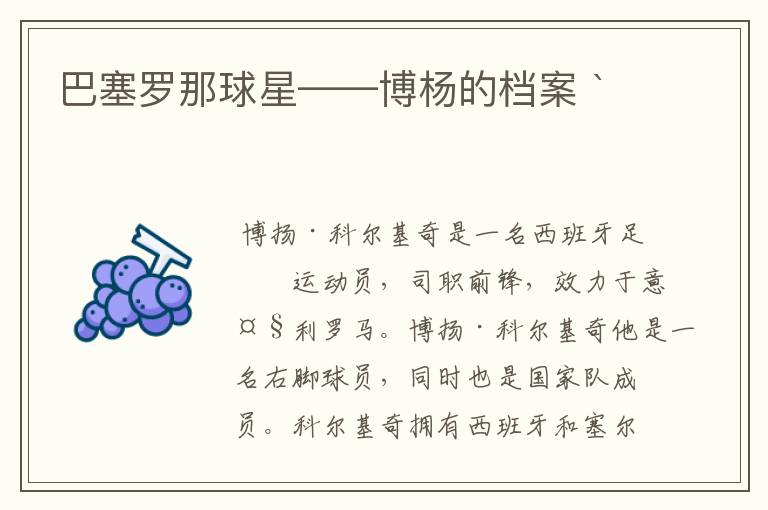 巴塞罗那球星——博杨的档案 `