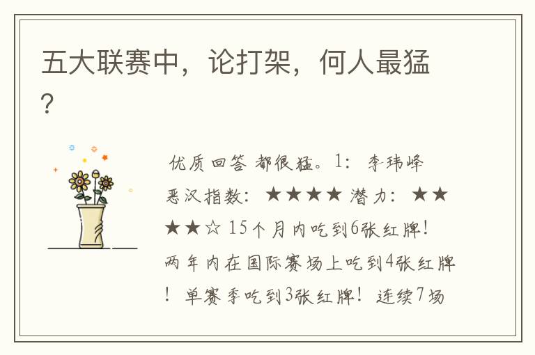 五大联赛中，论打架，何人最猛？