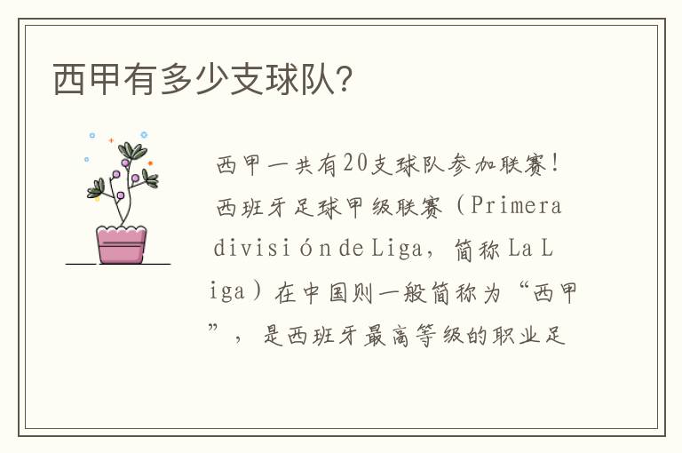 西甲有多少支球队?